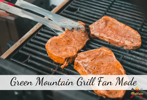 Green Mountain Grill Fan Mode